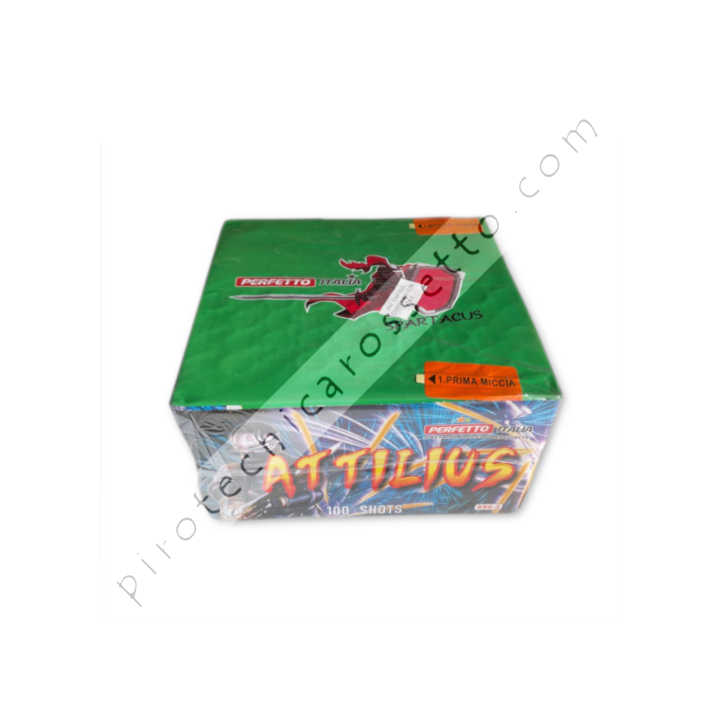 EVIDENZA_ass_100_tipo2_attilius