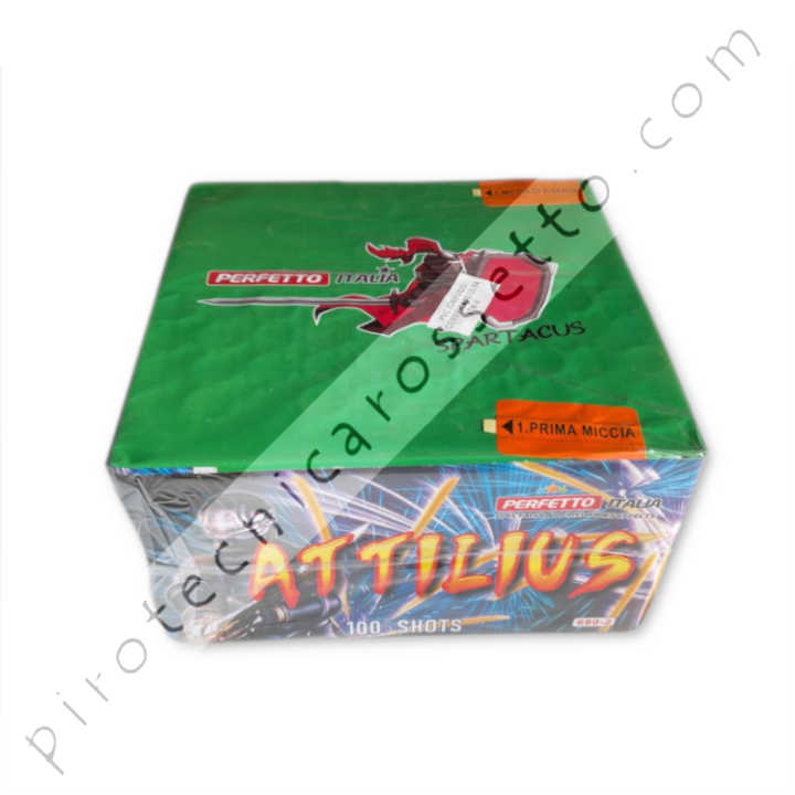 SCHEDE_ass_100_tipo2_attilius