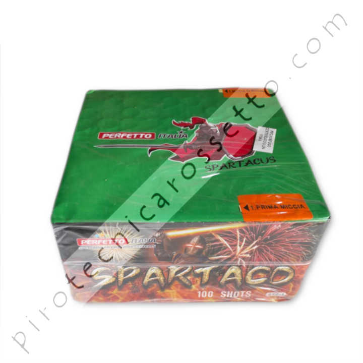 SCHEDE_ass_100_tipo2_spartaco