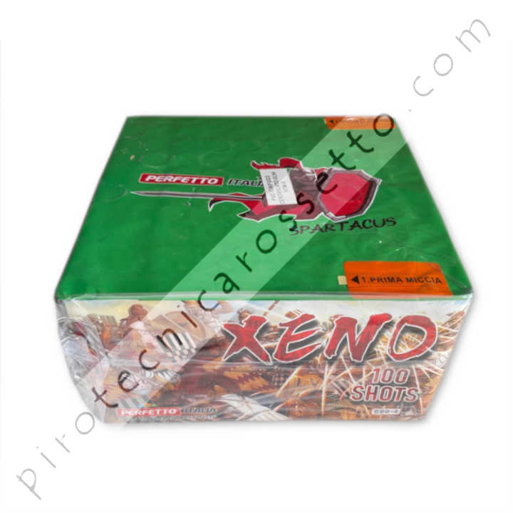 SCHEDE_ass_100_tipo2_xeno